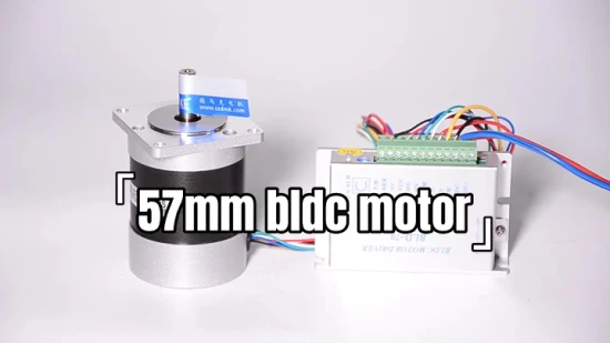 전동 공구 및 로봇용 진동이 없는 57mm 60mm 24V 4000RPM BLDC 모터 고속 모터 브러시리스 전기 모터