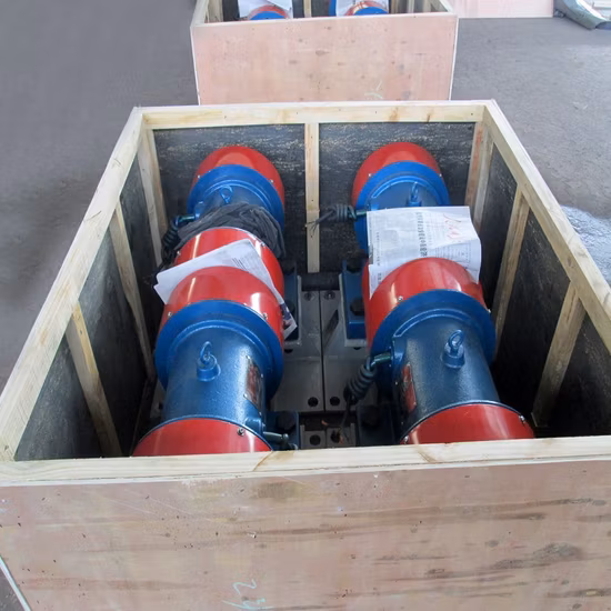 체용 고주파 진동 모터